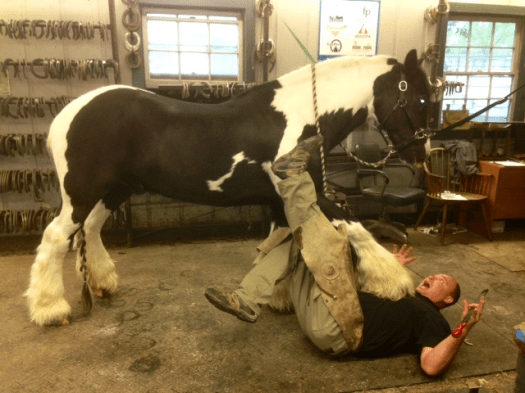 310739_10151546498190138_711791070_n