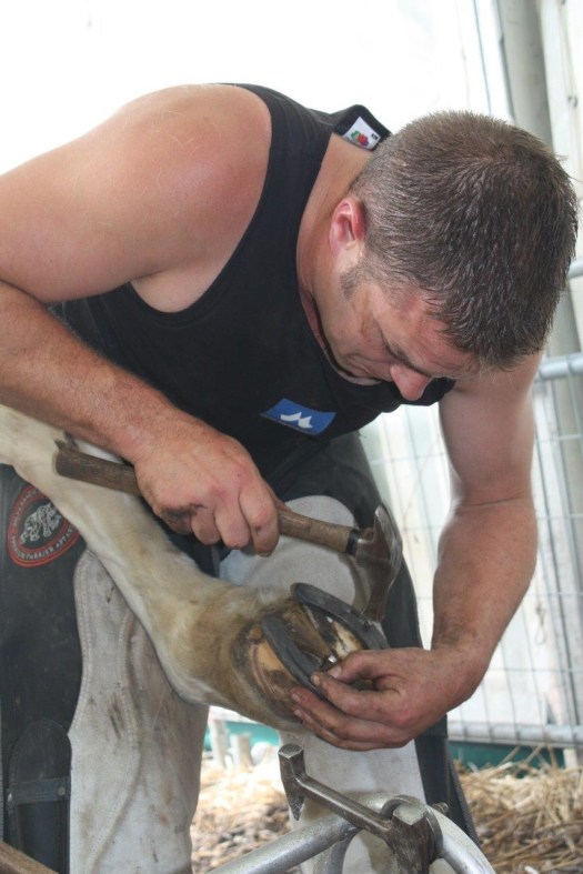 Stephen Hill farrier