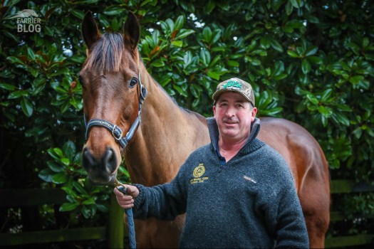 Jock holds a horse at John Wheeler's stables where he worked in the late 80s and early 90s training racehorses